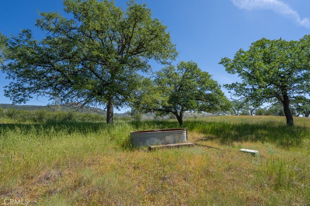 408901 N Fork Rd, Coalinga, CA 93210