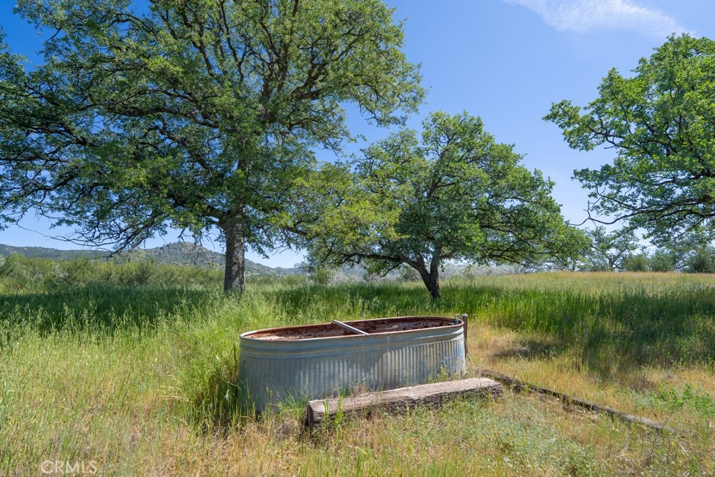 408901 N Fork Rd, Coalinga, CA 93210