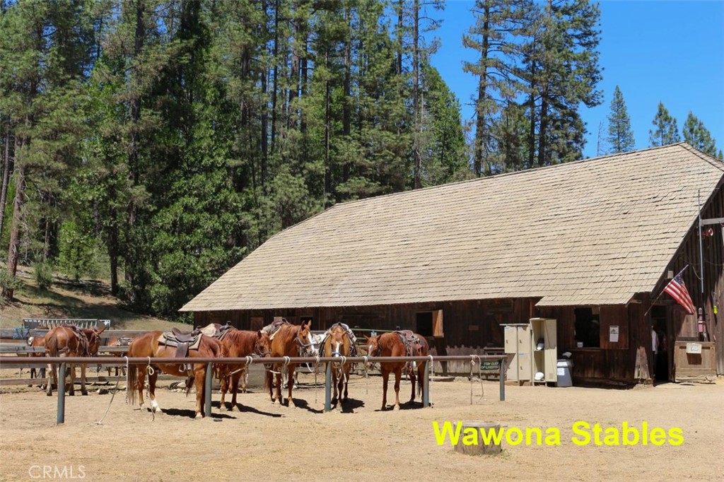 2629 Mariposa, Wawona, CA 95389