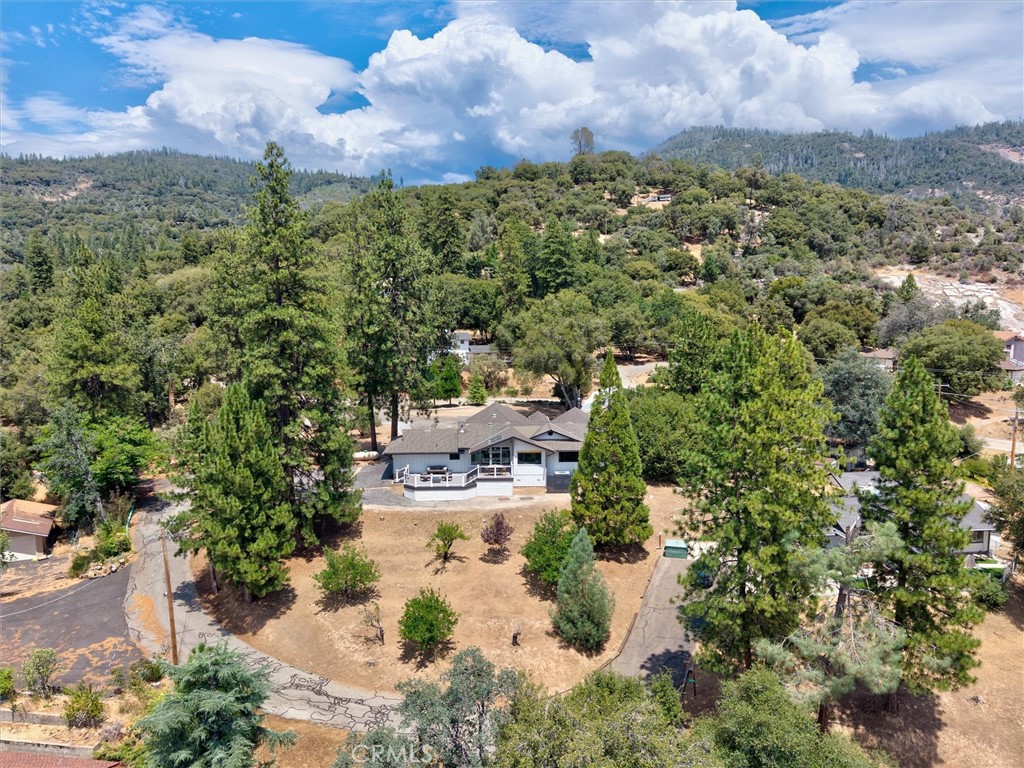 51291 Buckskin Ln, Oakhurst, CA 93644