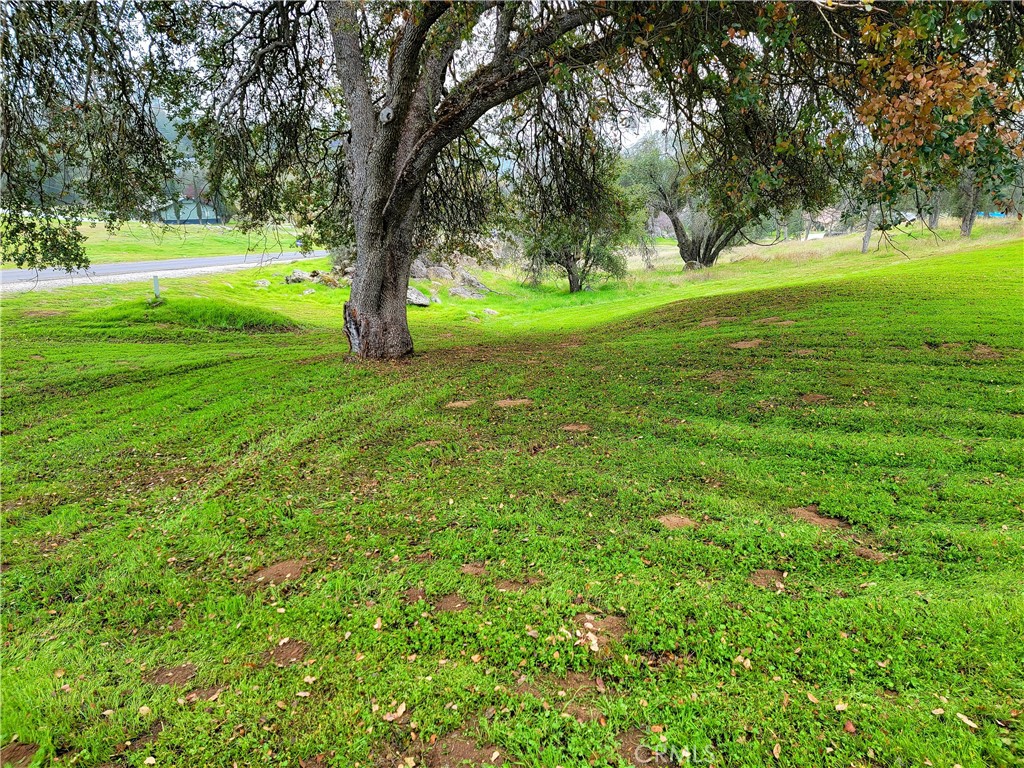 29682 Yosemite Springs Pkwy, Coarsegold, CA 93614