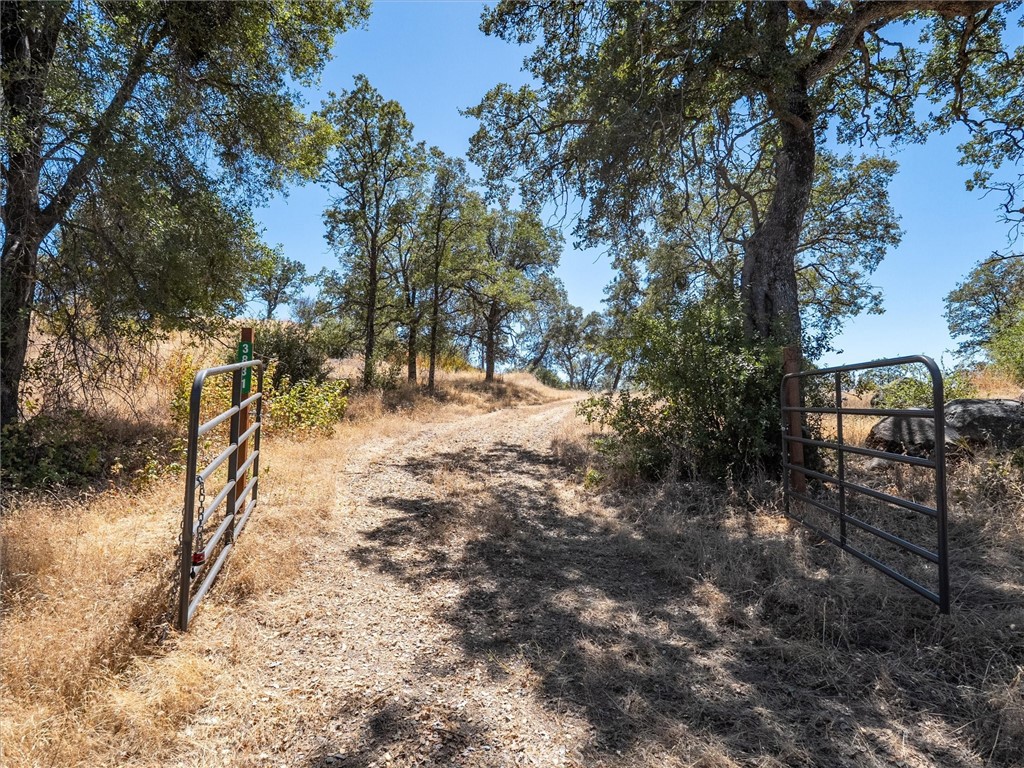 3831 Broncho Hollow, Mariposa, CA 95338