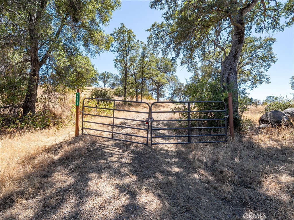 3831 Broncho Hollow, Mariposa, CA 95338