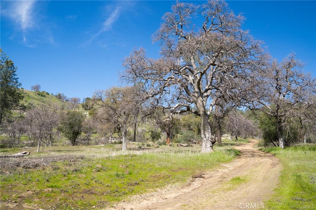 3831 Broncho Hollow, Mariposa, CA 95338