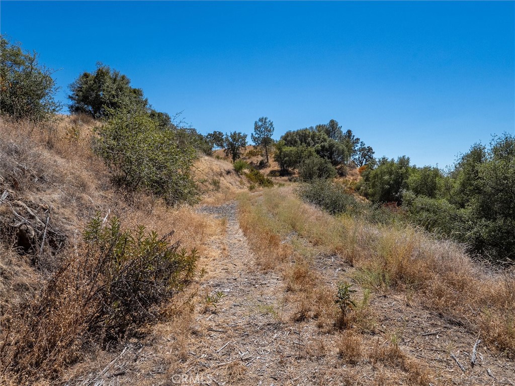 3831 Broncho Hollow, Mariposa, CA 95338