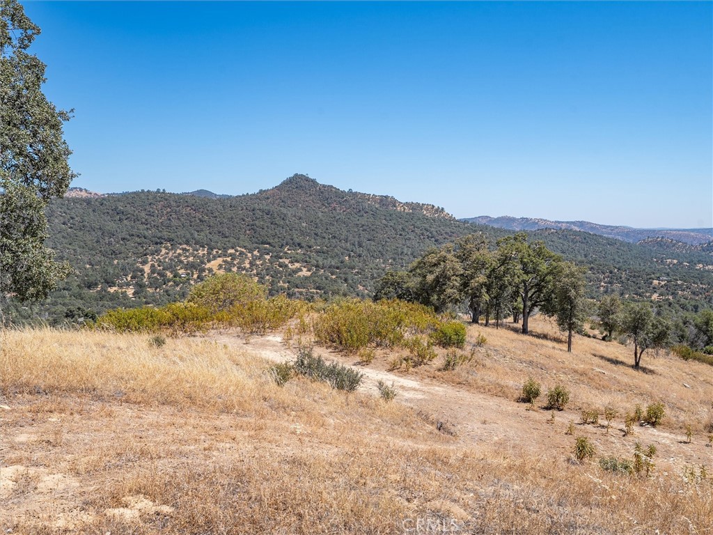 3831 Broncho Hollow, Mariposa, CA 95338