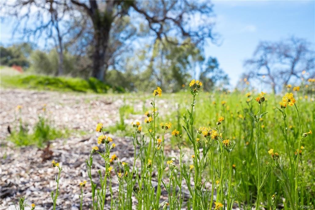 3831 Broncho Hollow, Mariposa, CA 95338