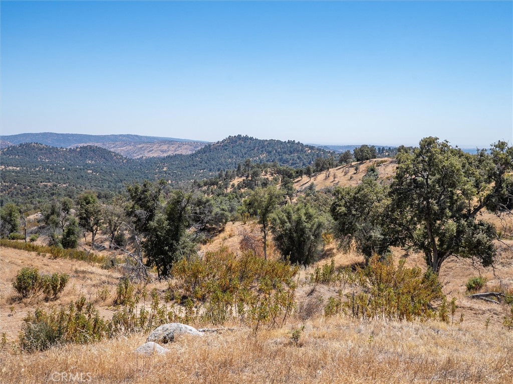 3831 Broncho Hollow, Mariposa, CA 95338