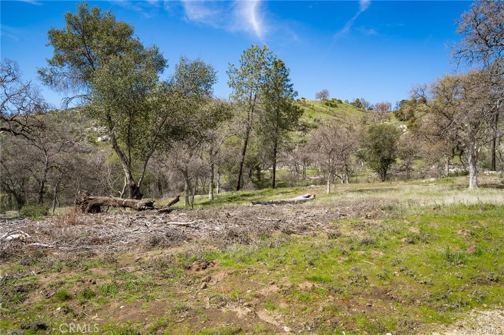 3831 Broncho Hollow, Mariposa, CA 95338