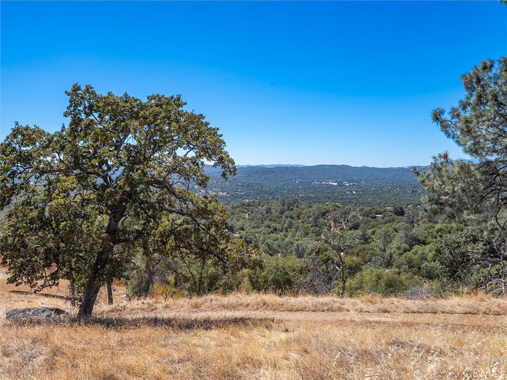 3831 Broncho Hollow, Mariposa, CA 95338