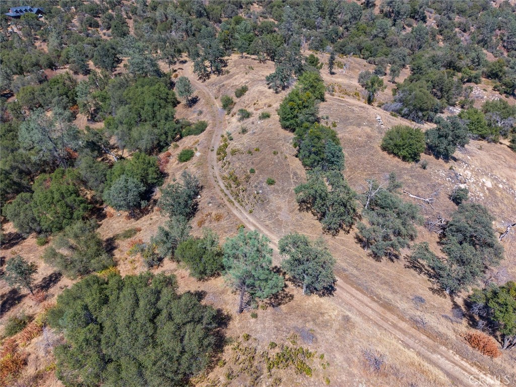 3831 Broncho Hollow, Mariposa, CA 95338
