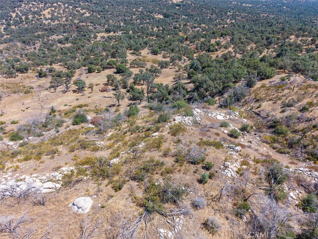 3831 Broncho Hollow, Mariposa, CA 95338