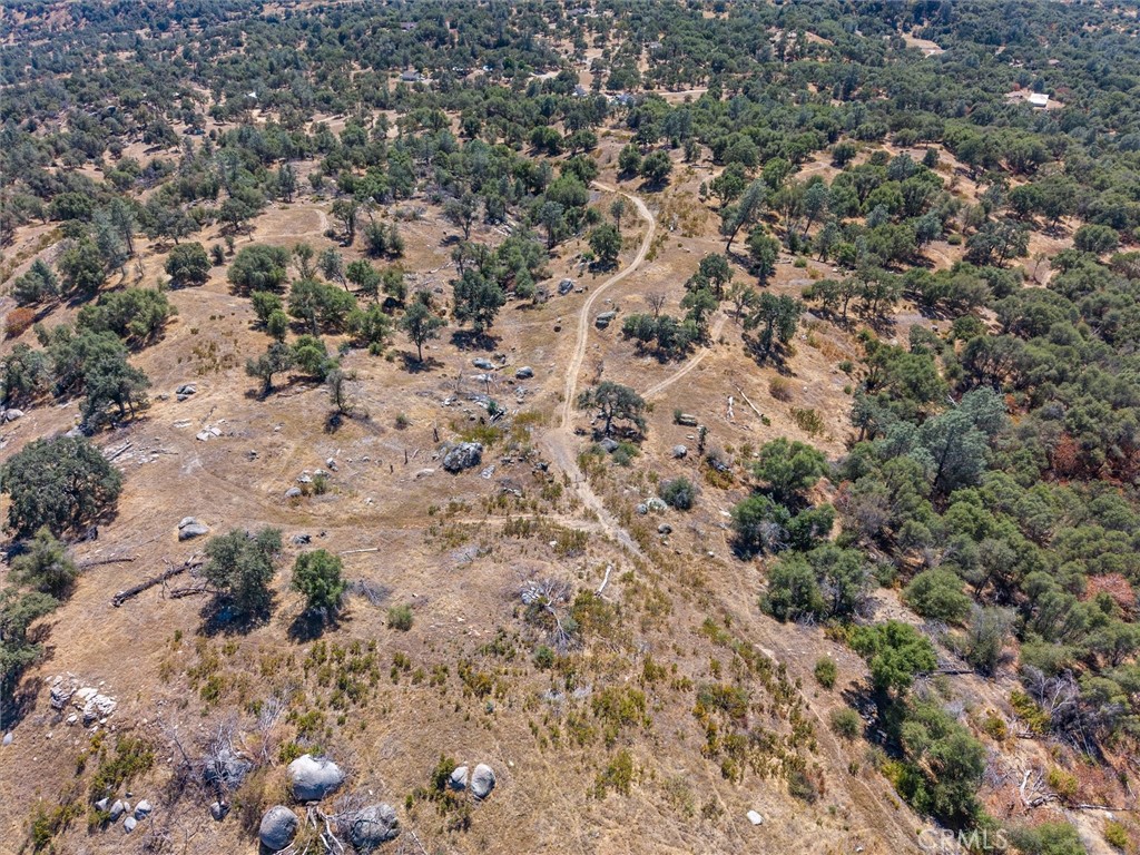 3831 Broncho Hollow, Mariposa, CA 95338