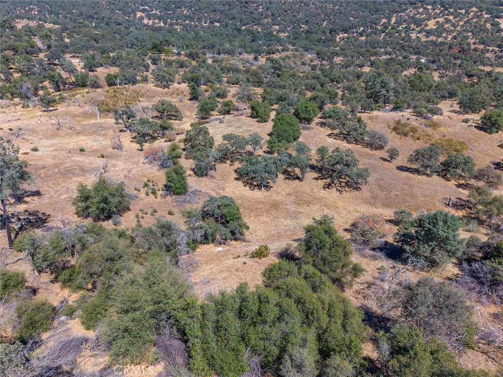 3831 Broncho Hollow, Mariposa, CA 95338