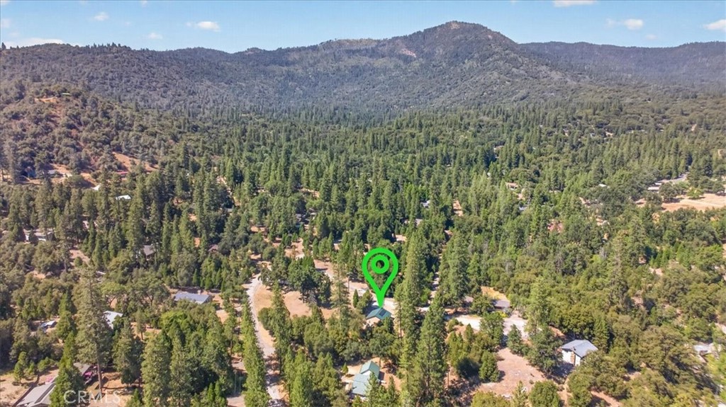 5594 Red Ibis Ct, Mariposa, CA 95338