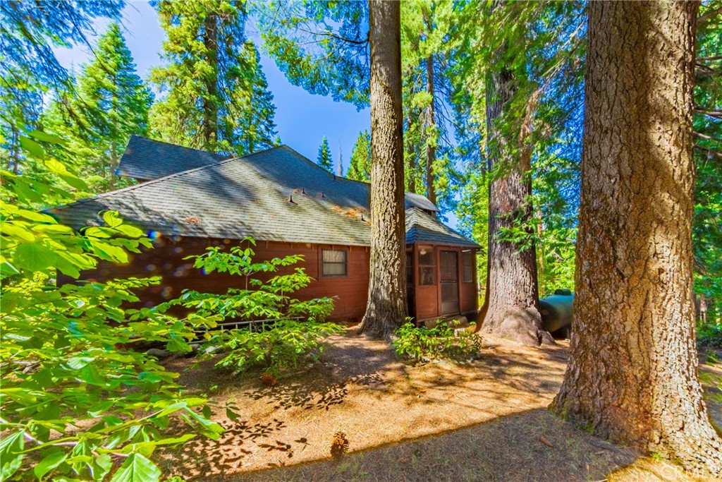 1173 Railroad Ln, Fish Camp, CA 93623