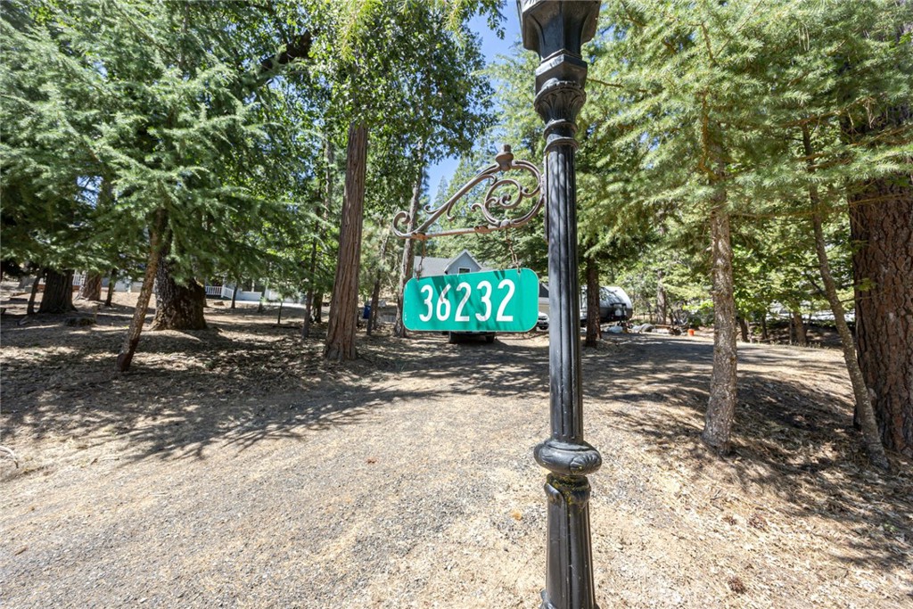 36232 Finegold Creek Dr, North Fork, CA 93643
