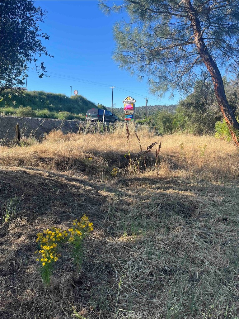 45990 Hawk Lane, Coarsegold, CA 93614