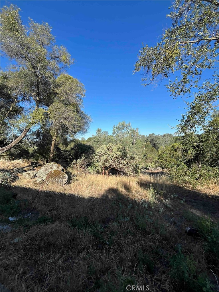45990 Hawk Lane, Coarsegold, CA 93614