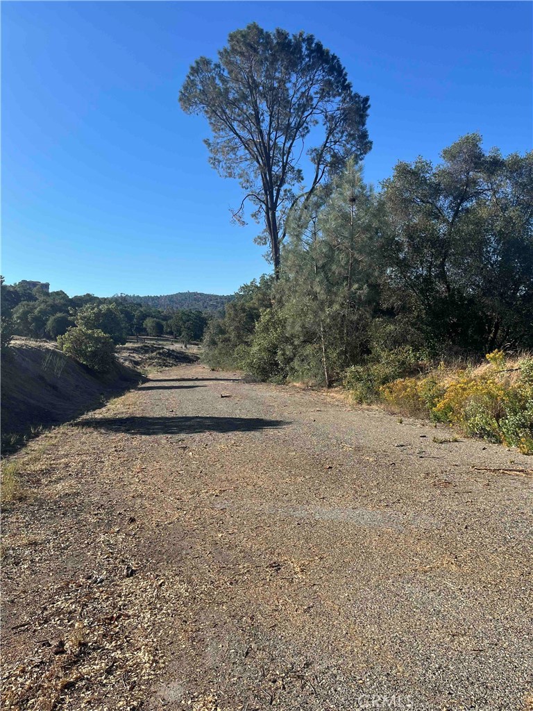 45990 Hawk Lane, Coarsegold, CA 93614