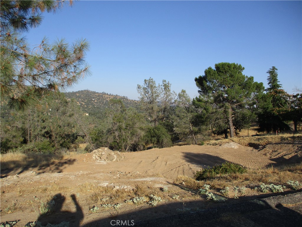 42112 Colt Way, Coarsegold, CA 93614