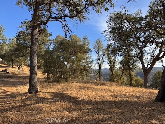 5 Martin Rd, Mariposa, CA 95338