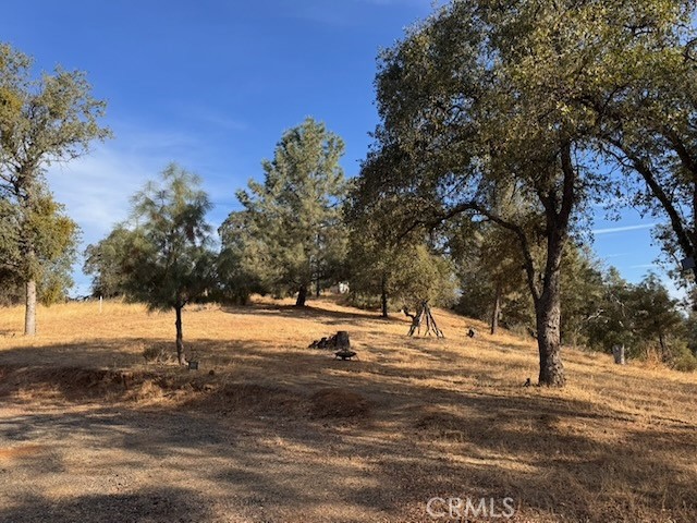5 Martin Rd, Mariposa, CA 95338