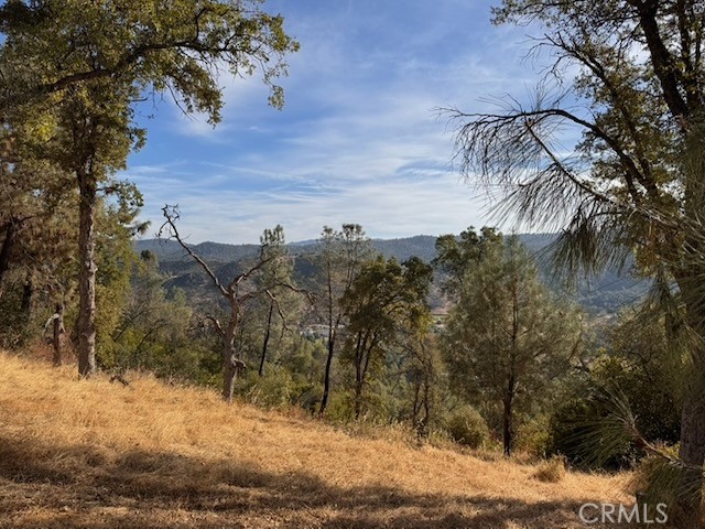 5 Martin Rd, Mariposa, CA 95338