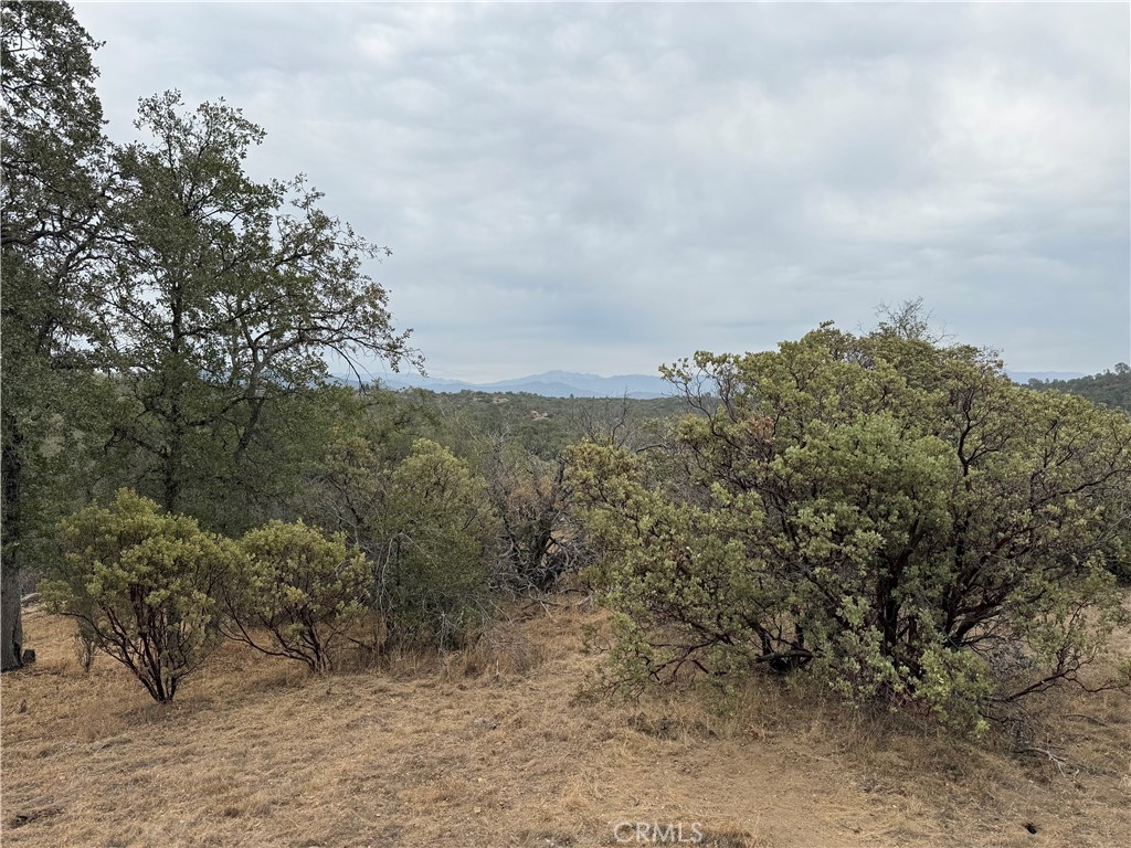 0 39.77 AC Flying O Ranch Rd., O'Neals, CA 93645