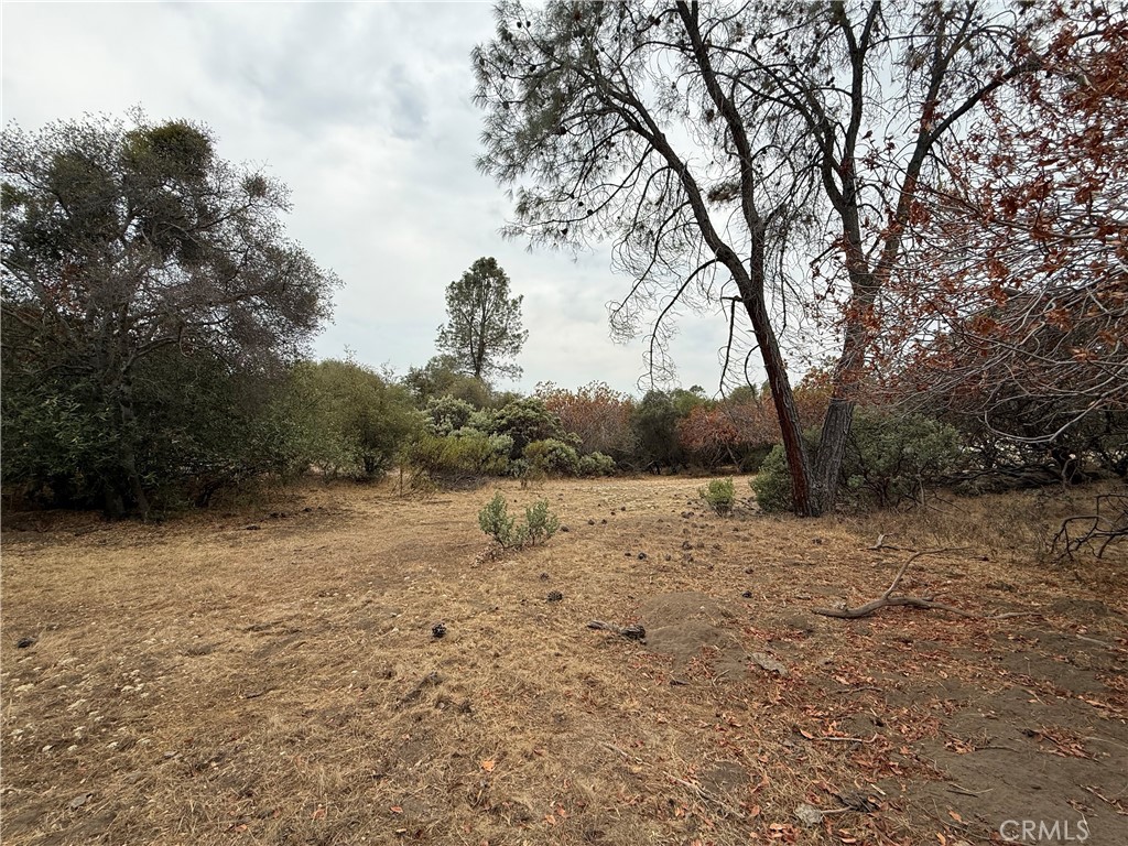 0 39.77 AC Flying O Ranch Rd., O'Neals, CA 93645