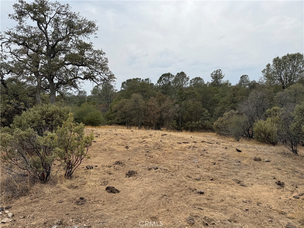 0 39.77 AC Flying O Ranch Rd., O'Neals, CA 93645
