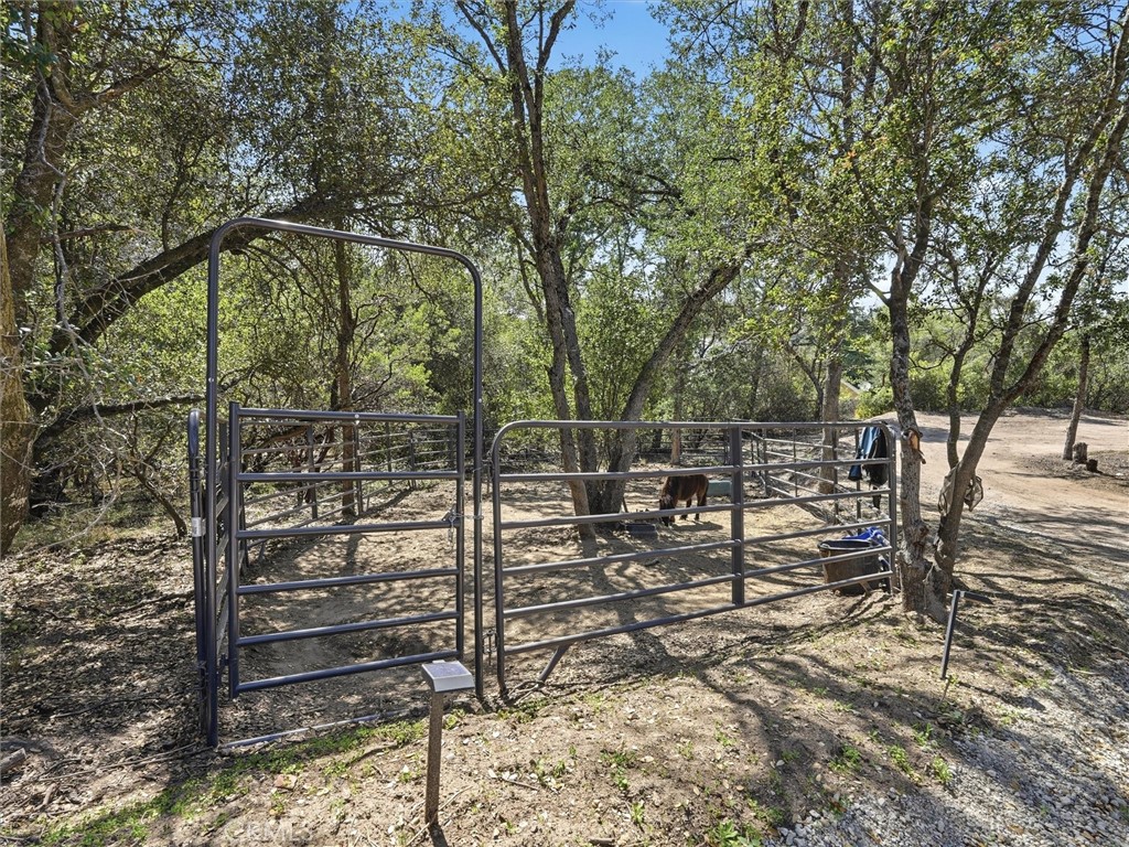 46004 Spring Trl, Coarsegold, CA 93614