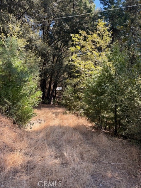 0 S Cedar Ridge, Oakhurst, CA 93644