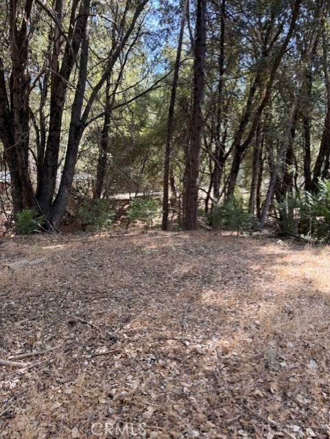 0 S Cedar Ridge, Oakhurst, CA 93644