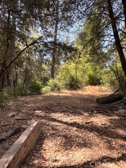 0 S Cedar Ridge, Oakhurst, CA 93644