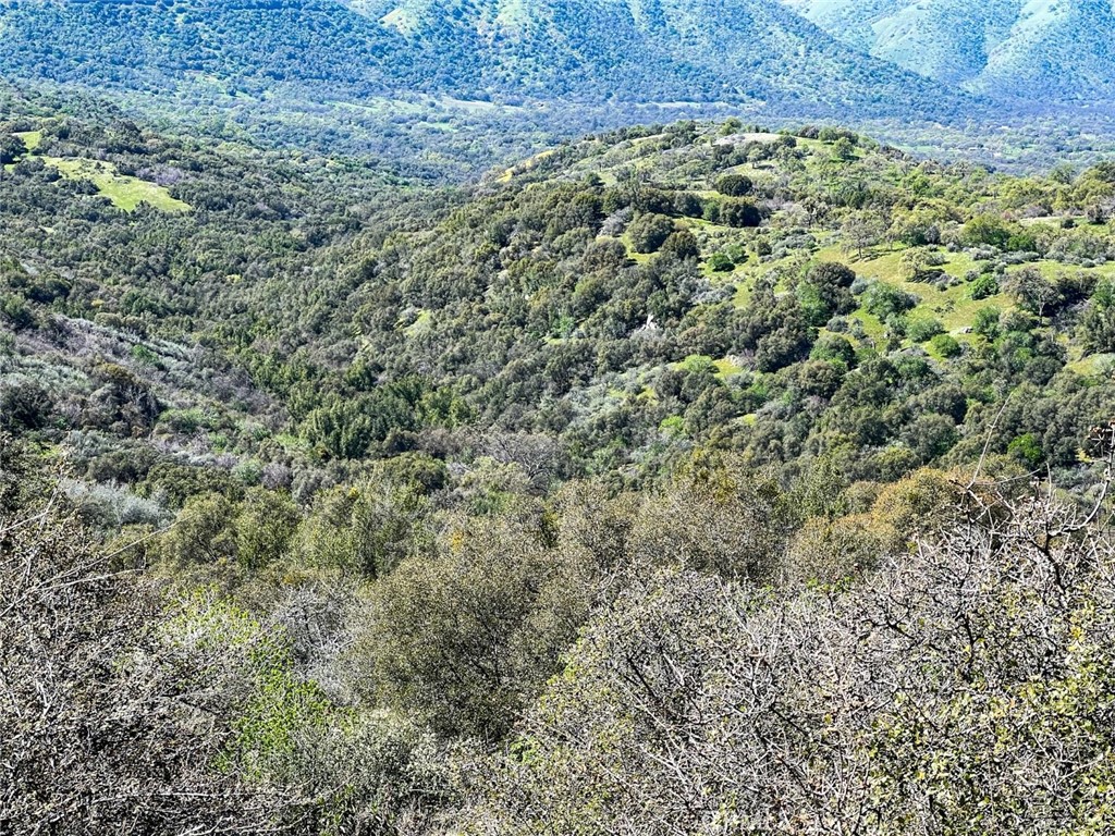 44981 Todd Eymann Rd, Miramonte, CA 93641