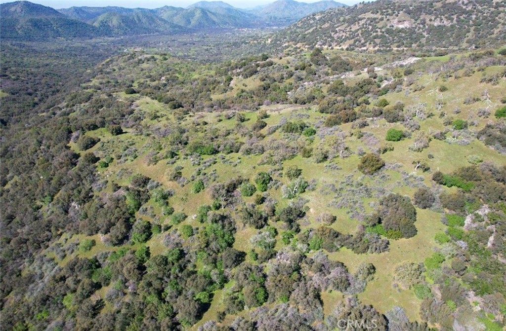 44981 Todd Eymann Rd, Miramonte, CA 93641