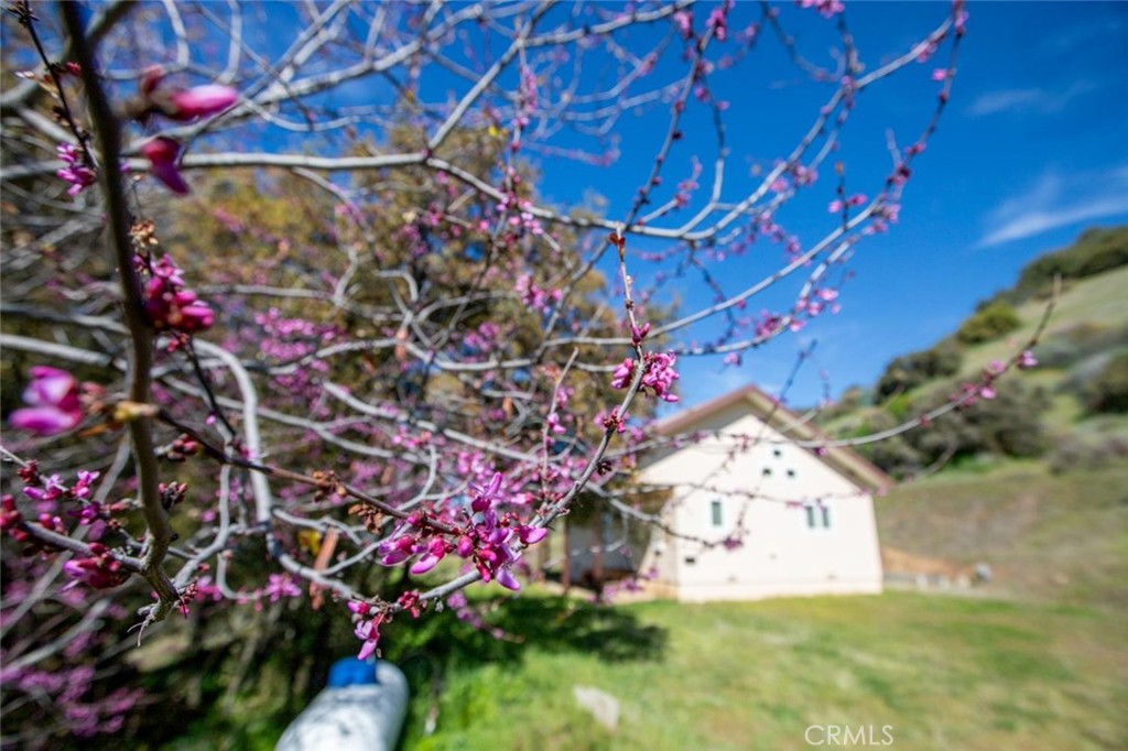 44981 Todd Eymann Rd, Miramonte, CA 93641