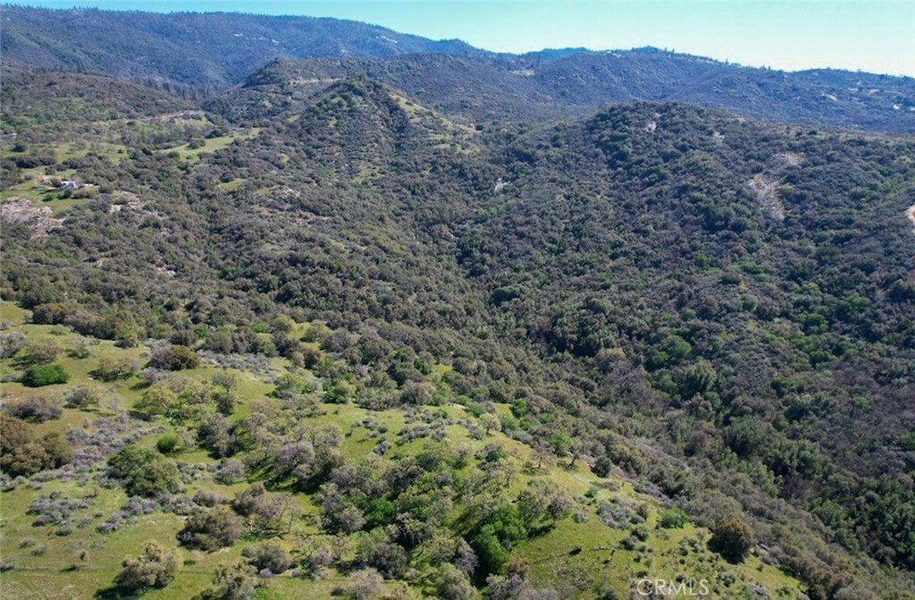 44981 Todd Eymann Rd, Miramonte, CA 93641