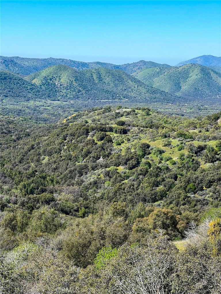 44981 Todd Eymann Rd, Miramonte, CA 93641