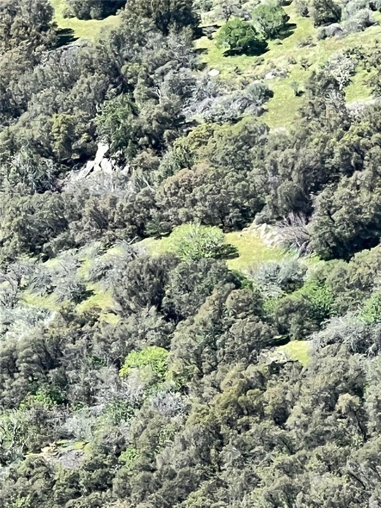 44981 Todd Eymann Rd, Miramonte, CA 93641