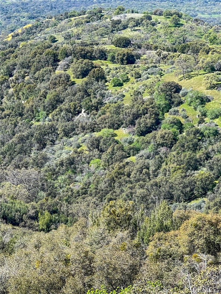 44981 Todd Eymann Rd, Miramonte, CA 93641