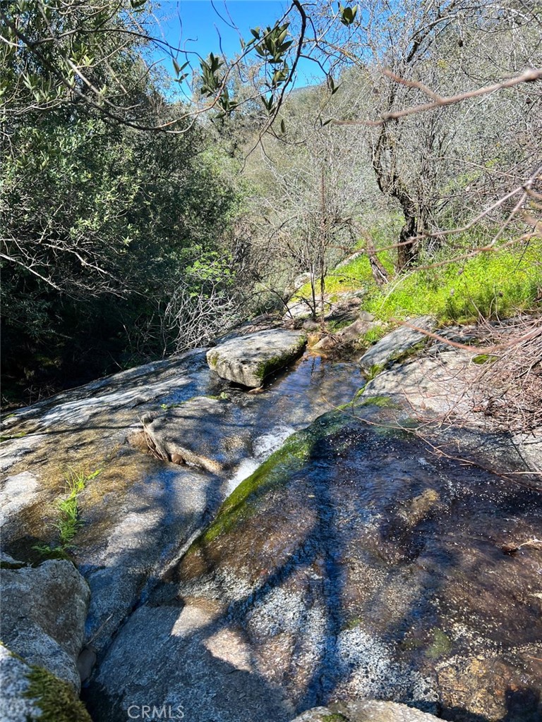 44981 Todd Eymann Rd, Miramonte, CA 93641