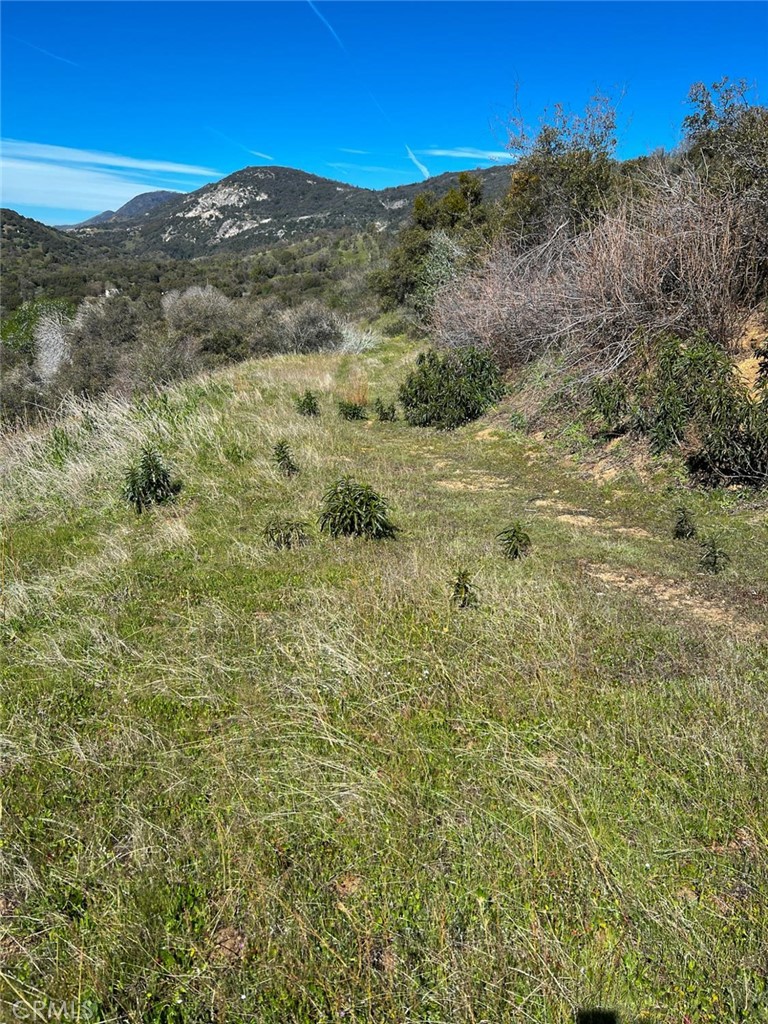 44981 Todd Eymann Rd, Miramonte, CA 93641