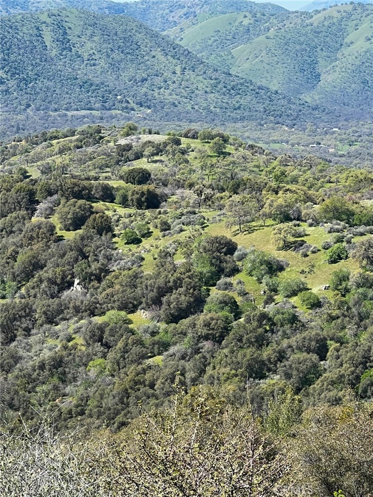 44981 Todd Eymann Rd, Miramonte, CA 93641