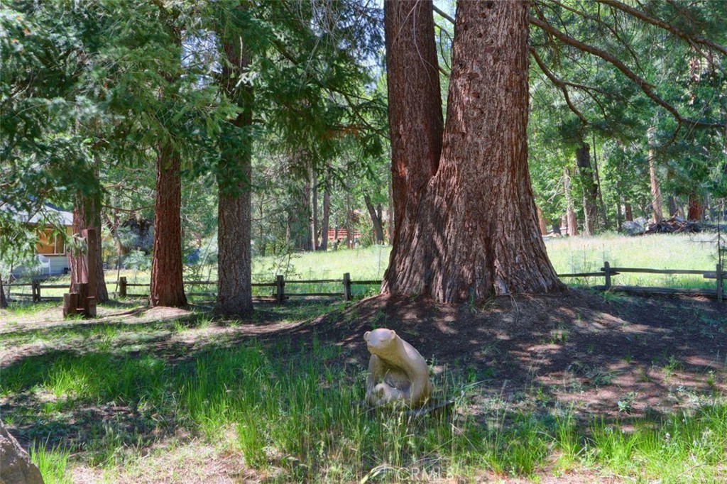 8067 Chilnualna Falls Rd, Wawona, CA 95389
