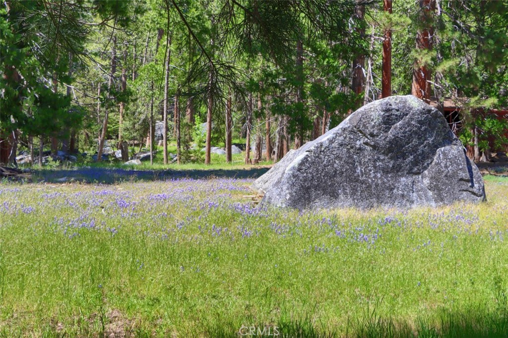 8067 Chilnualna Falls Rd, Wawona, CA 95389