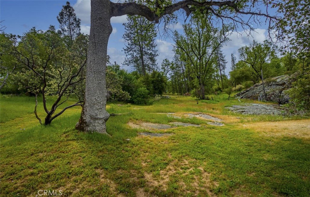 50622 Critter Creek Ln, Oakhurst, CA 93644