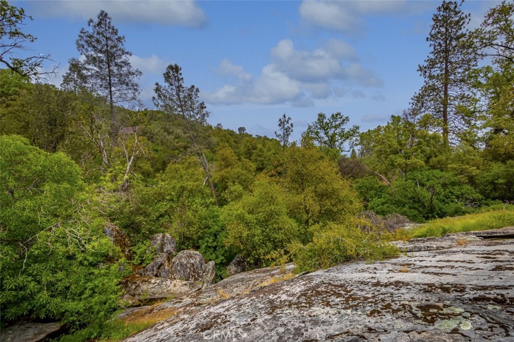 50622 Critter Creek Ln, Oakhurst, CA 93644