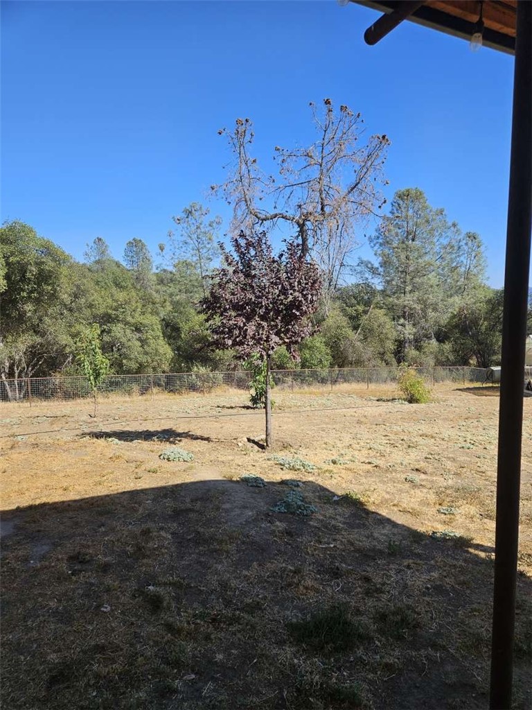 43980 CA-49, Ahwahnee, CA 93601